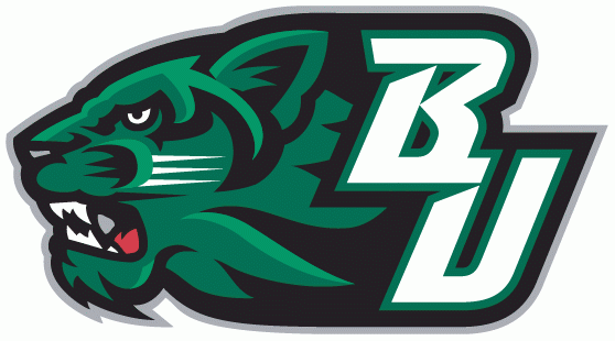 Binghamton Bearcats 2001-Pres Secondary Logo v3 iron on transfers for clothing